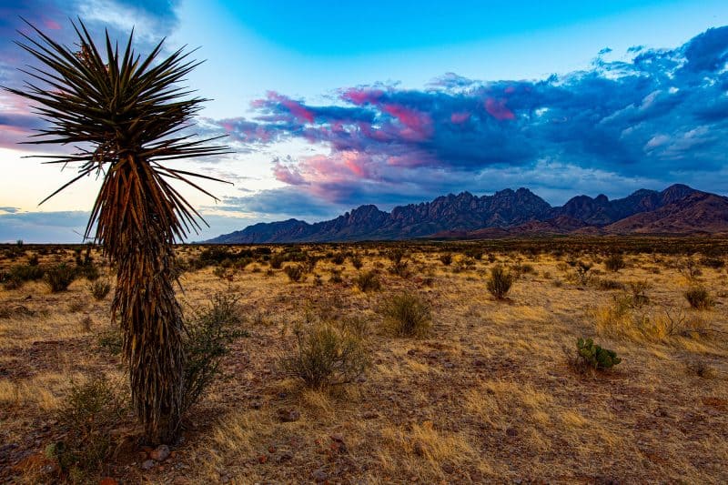 East Mountains Sandia Peak Realty